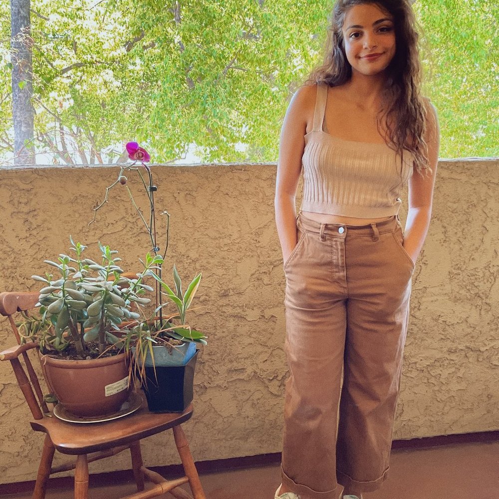Everlane Wide-Leg Crop Pant
